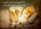 تصاویر علما